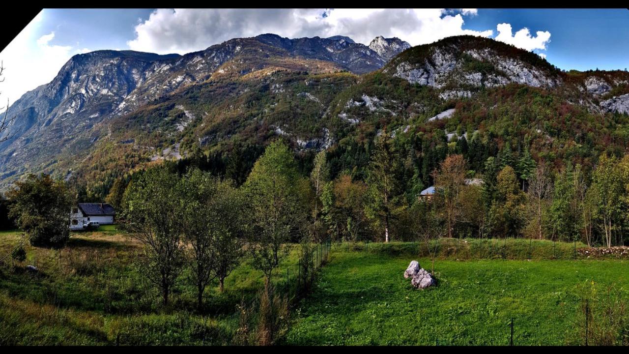 Bovec Home At Three Samoyeds Soča Buitenkant foto