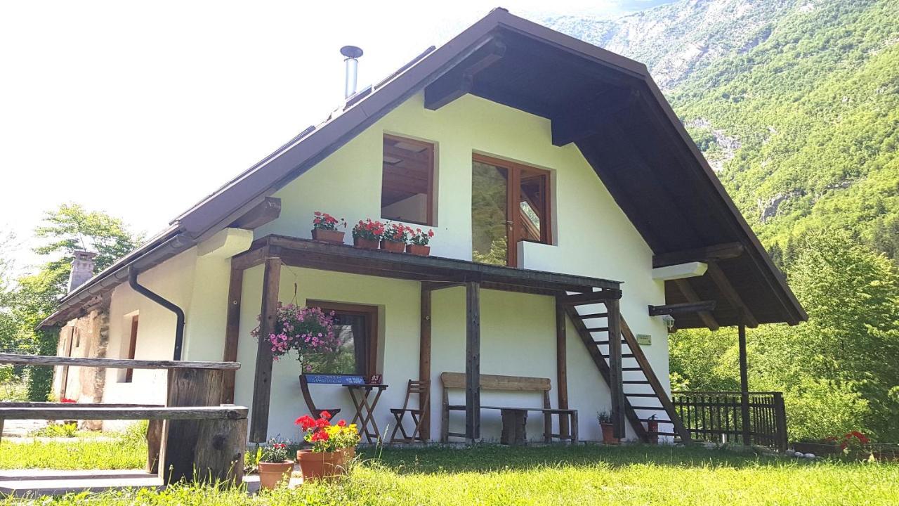 Bovec Home At Three Samoyeds Soča Buitenkant foto