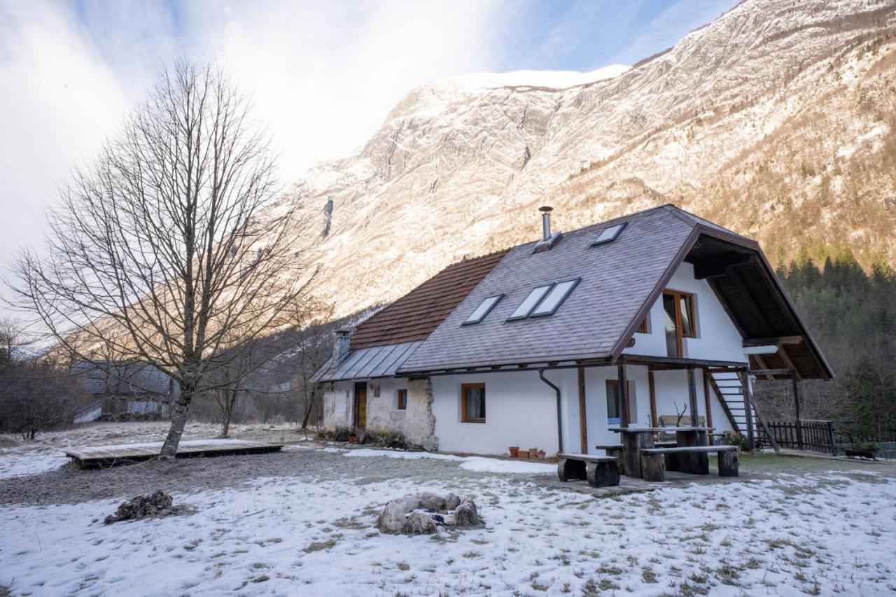 Bovec Home At Three Samoyeds Soča Buitenkant foto