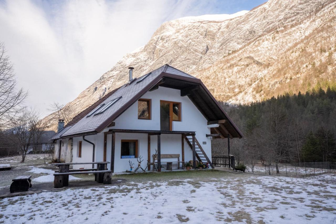Bovec Home At Three Samoyeds Soča Buitenkant foto