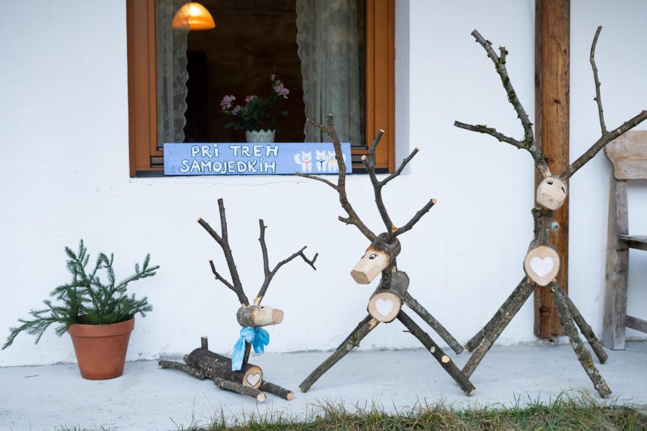 Bovec Home At Three Samoyeds Soča Buitenkant foto
