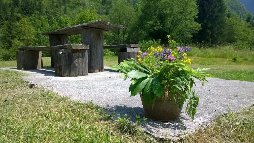 Bovec Home At Three Samoyeds Soča Buitenkant foto