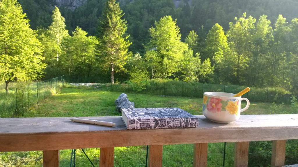 Bovec Home At Three Samoyeds Soča Buitenkant foto