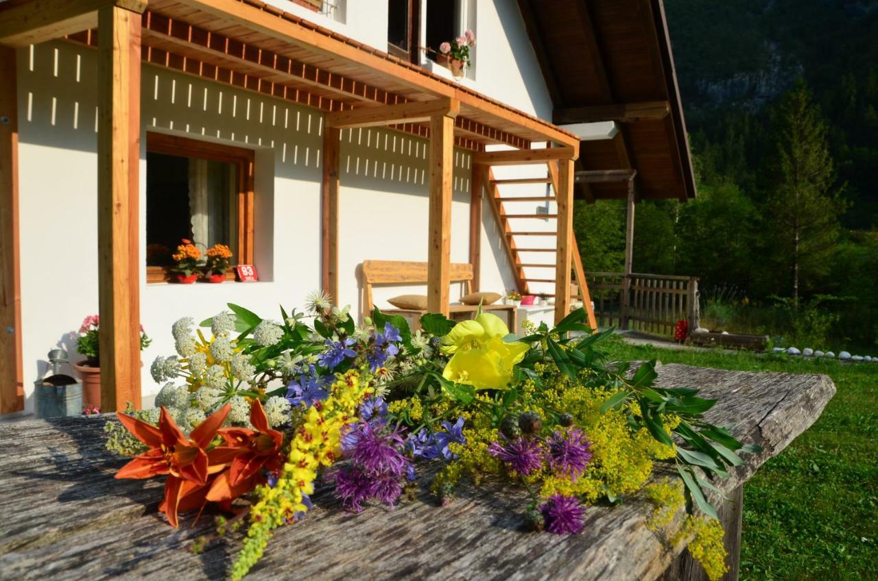 Bovec Home At Three Samoyeds Soča Buitenkant foto
