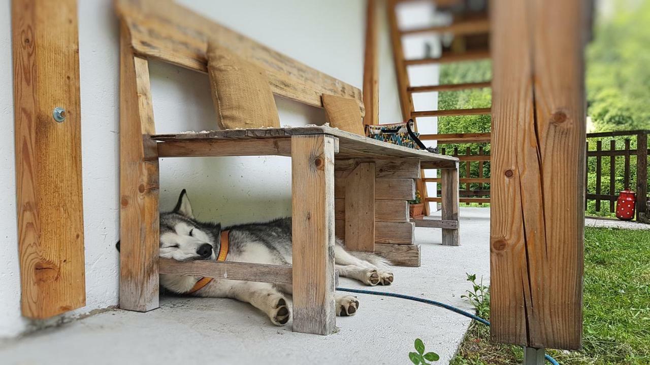 Bovec Home At Three Samoyeds Soča Buitenkant foto