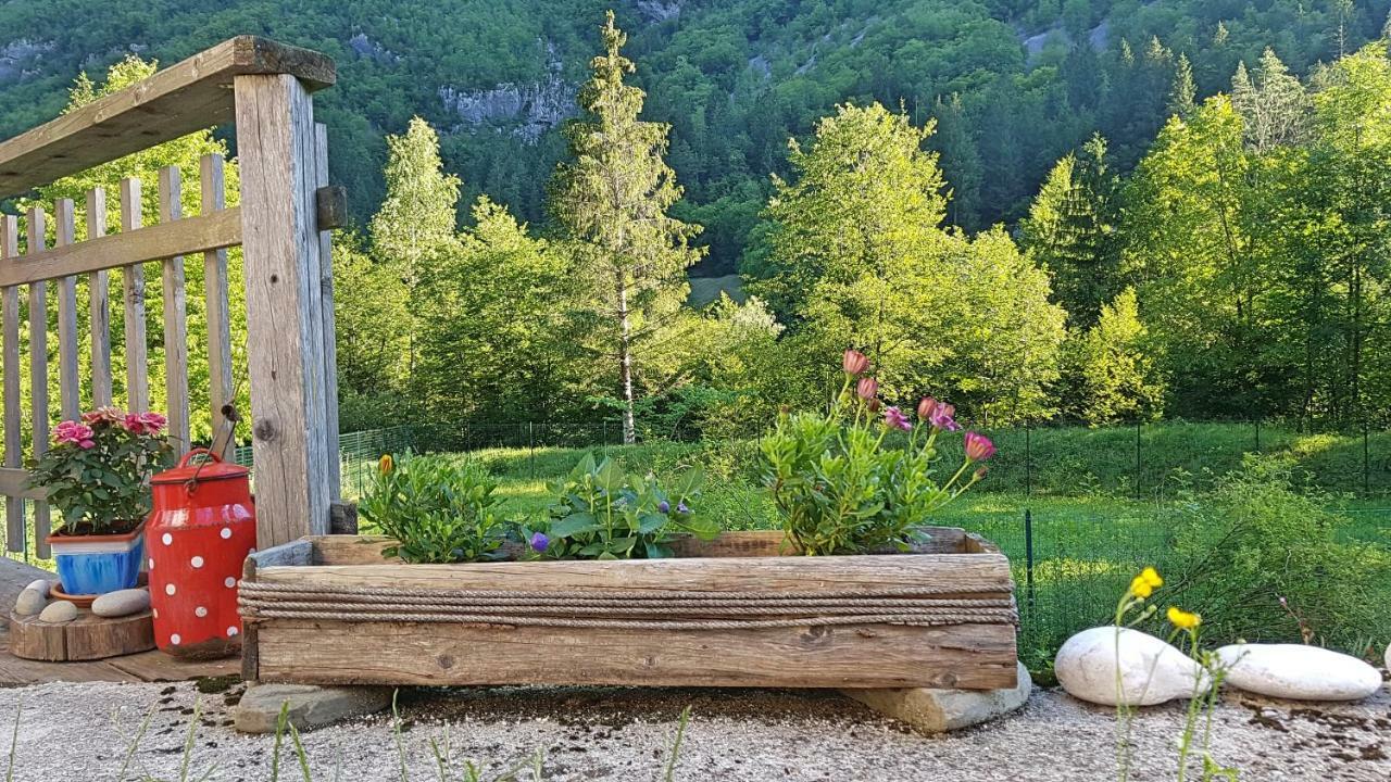 Bovec Home At Three Samoyeds Soča Buitenkant foto