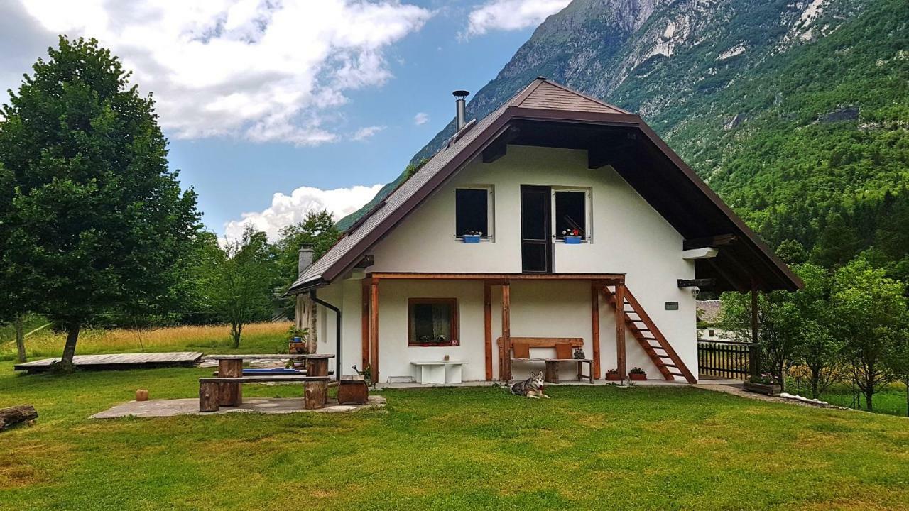 Bovec Home At Three Samoyeds Soča Buitenkant foto